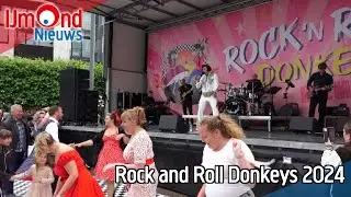 Rock & Roll Donkeys 2024