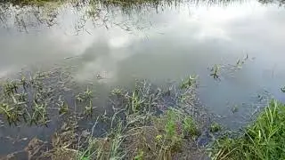 Kerala rain 2019