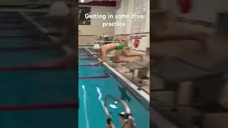 Dive practice #diving #swimming #fitness #technique #ytshorts