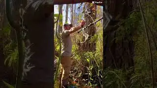 #bow #hunters #hunting #shorts #trending #woods