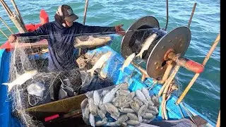 Kiếm TIỀN TRIỆU Với Nghề Lưới Cá Bàn Sa_Ghẹ Xanh Gần 20kg_Cá Sóc Cá Ngao Toàn Con To