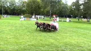 Pferdetage 2015 Muenchen Riem - Schauprogramm - R&ouml;mischer Streitwagen