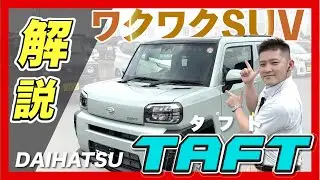 【解説】タフトを紹介！！内外装、グレード間の違いを徹底解説！ガラスルーフってどうなの？？