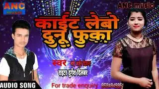 Bhai Arjun diwana methaili song