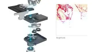 Carl Zeiss | Axioscan 7 Digitalize your Slide for Digital Pathology