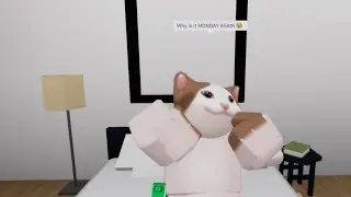 Why is it MONDAY AGAIN 😂  (meme)