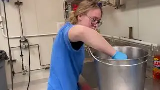 How to Feed a Penguin at the Pittsburgh Zoo