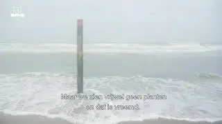 Jaap van der Meer: buitengewoon hoogleraar Sustainable Marine Food Production
