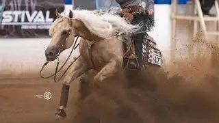 CUSTOMIZED SHINER - AZRHA Best Of The West Open Futurity 2024 