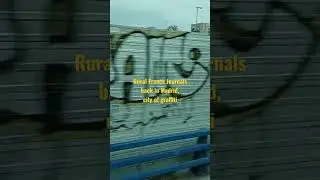 Madrid, city of graffiti