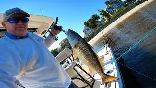 The Ultimate Guide to Catching Redfish in Florida