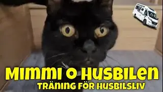 Mimmi och husbilen - Vår 15 åriga tös ska vänjas med husbilsliv. Träningen har börjat :-)