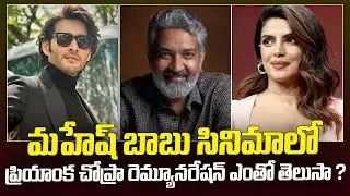 ప్రియాంక చోప్రా రెమ్యూనరేషన్ ఎంతో తెలుసా ? | PriyankaChopra Remuneration SSMB29 Project | BinnuMedia