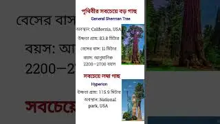 দুনিয়ার সবথেকে বড়ো গাছের নাম General Sherman ।