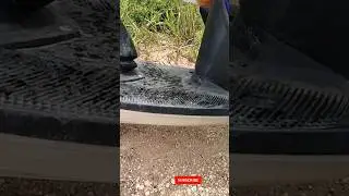 sebesar ban motor#ikangabus#babon#fish#snakehead#shorts#youtubeshorts#viral