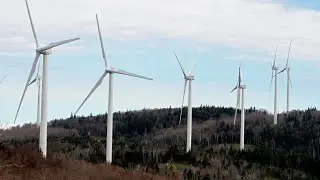 State renewable energy targets set to be met