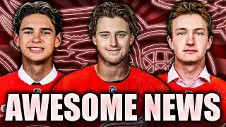 AWESOME DETROIT RED WINGS NEWS: MARCO KASPER'S BACK + TREY AUGUSTINE, CARTER BEAR UPDATES