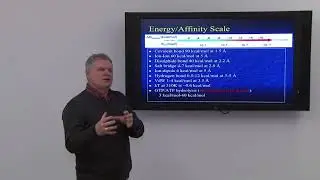 Jack Tuszynski Quantum Biology Part III Winter 2018