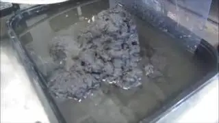 Intergrated Industrial Wastewater Technology Pilot Plant Papermill Wastewater
