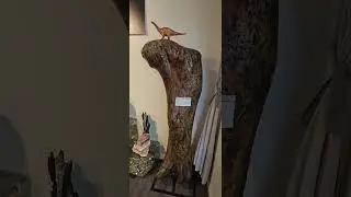 CRYSTAL SHOP AT DANFORTH TORONTO CANADA 🇨🇦 &hearts;️