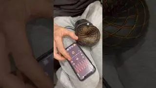 🔥‼️Я увидел в интернете и мне стало интересно что это и для чего? Потом собрал себе и понеслась 🔥