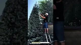 Tree trimming Worktool technology for safe and precise garden care