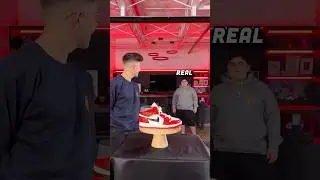 Is It Cake or FAKE? 🎂💥