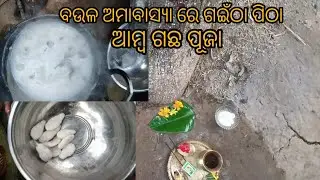 (Sai vlogs) ବଉଳ ଅମାବାସ୍ୟା ରେ ଆମ୍ୱ ଗଛ କୁ ମାମା କେମିତି ପୂଜା କରୁଛନ୍ତି ❤ ki ପିଠା କରିଛନ୍ତି 🥰