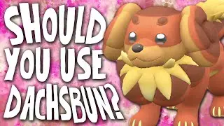 Should Dachsbun Be Used on Your Pokemon Scarlet and Violet Team?