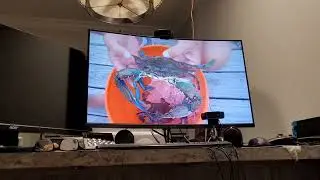 Lessons In Catching & Cooking Blue Crab 🦀  | Florida Living 🌴 | Nerd In Florida 🤓