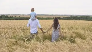 Family Walking On Wheat Field Stock Video