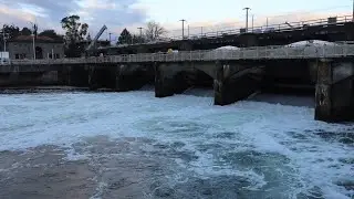 Virtual Walking Tour 4k - Ballard Locks - Seattle, Washington