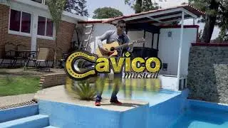 Cavico Musical-El Venadito- Video Live Session Official 4k