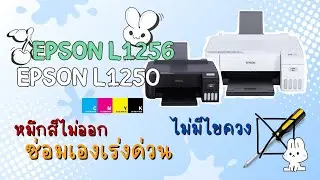 Epson L1256 / L1250 เครื่องปริ้น ปริ้นสีไม่ออก ซ่อมเองเร่งด่วน 😭ไม่ใช้ไขควง ₊˚⊹ │ janelypuffy