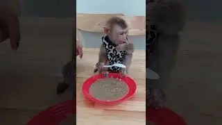 So Smart Adorable Biden Use Spoon Eat Porridge #cute #viralvideo #viralreels