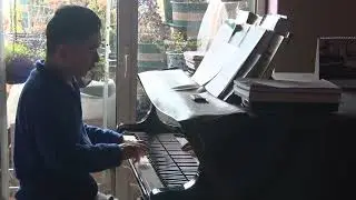 Wenyu Shen plays Bach The Art of the Fugue BWV 1080 No.1 Contrapunctus I  soft Version