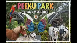 Yercaud Peeku Park 🌿🎡 | Fun Spot in Hills | Scenic Vlog #peekupark #yercaud