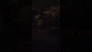 #funny Fred gets ass beat by tree man