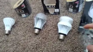 Dirty electricity created by CFL and LED bulbs