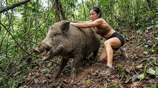 Tracking Wild Boars in 5 Days: Tense Moments When Wild Boars Get Caught in Traps