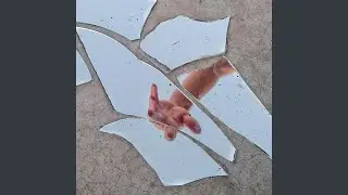 Trust Broken