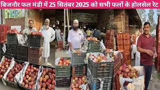 बिजनौर फल मंडी में 25 सितंबर 2025 को सभी फलों के होलसेल रेट || ALL FRUITS PRICE TODAY BIJNOR MARKET