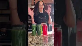 Watermelon, Cucumber and Celery juice reboot! @thejenjones #plantbasedrecipes #greenjuice