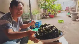 Hôm Nay Út Tí Làm Món - Ốc Bươu Cuốn Lá Lốt Chiên Cho Bữa Cơm Gia Đình 