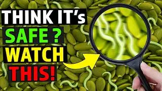9 Side Effects Of Pumpkin Seeds Must Know Before Including It In Your Diet!
