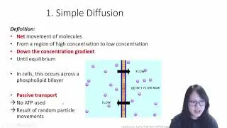 Chapter 4.3 - Transport Across Membrane | Cambridge A-Level 9700 Biology