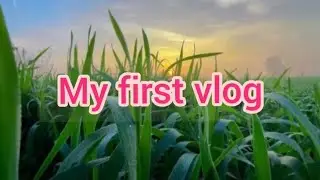 &ldquo;Hello guys! Swagat hai meri brand new vlog mein 🔥&rdquo; 