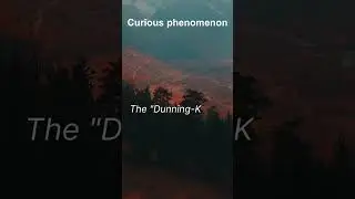 Curious phenomenon | The 