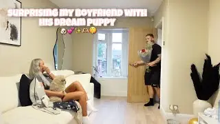 i surprised my boyfriend with his dream puppy 🐶🫶🏼✨🤫💕