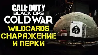 CALL OF DUTY BLACK OPS COLD WAR ПЕРКИ, ОБОРУДОВАНИЕ, WILDCARDS...